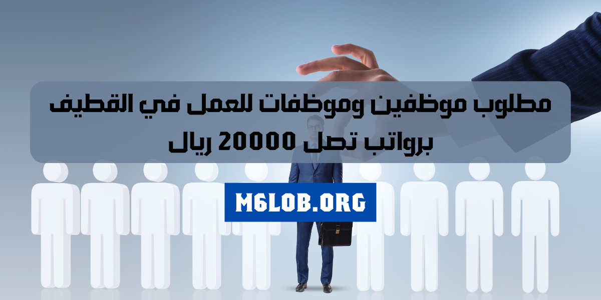 وظائف القطيف اليوم